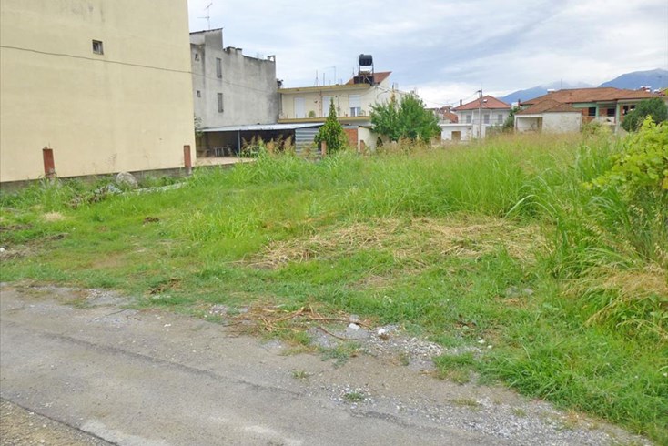 Realty photo 2