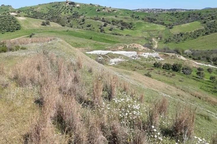 Realty photo 3