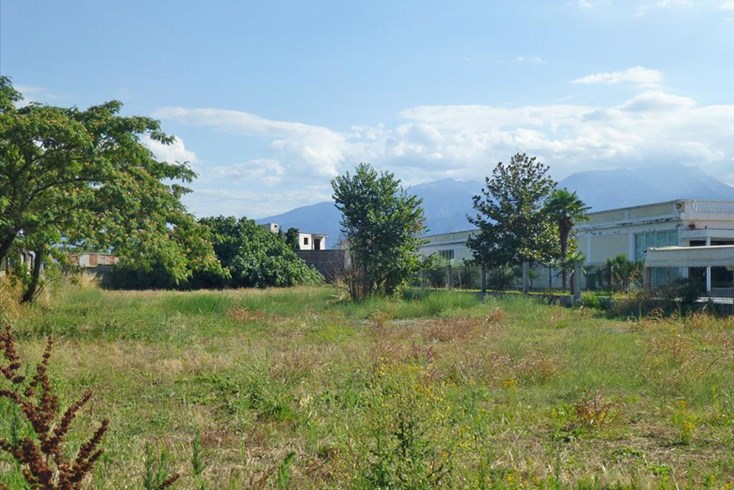 Realty photo 3