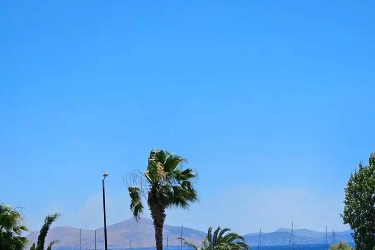 Realty photo 1