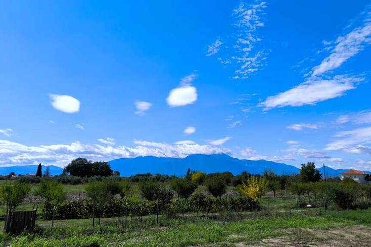 Realty photo 3
