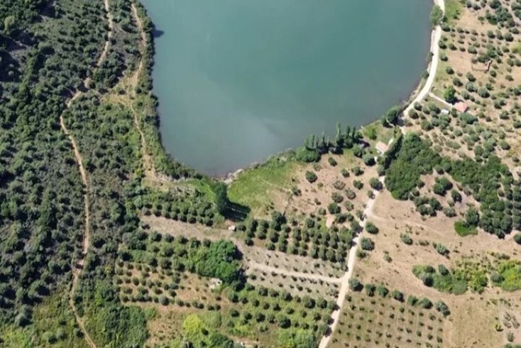 Realty photo 2