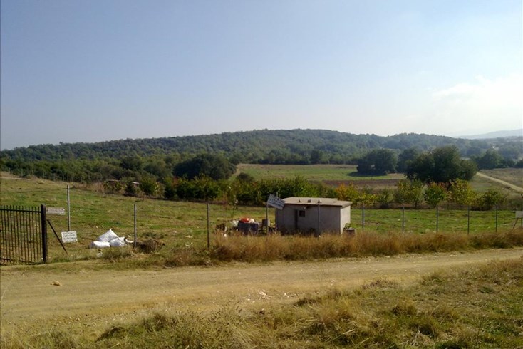 Realty photo 2