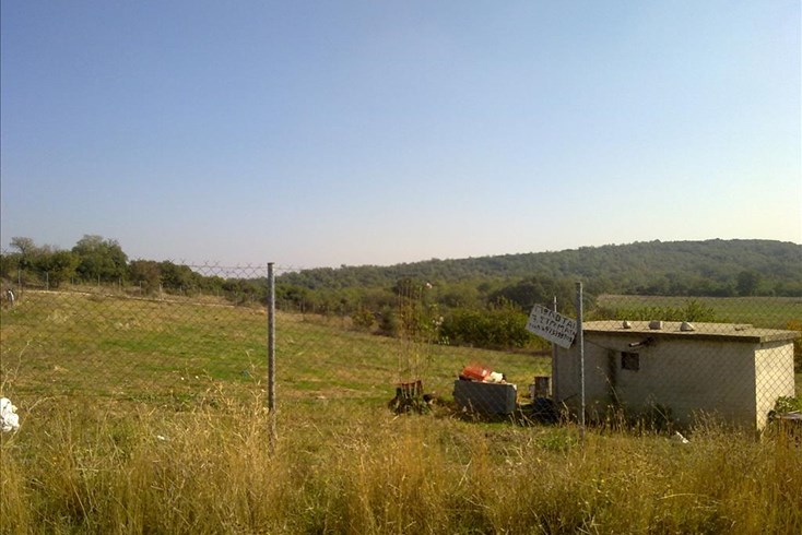 Realty photo 3