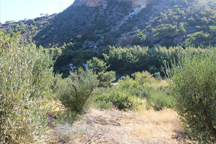Realty photo 3