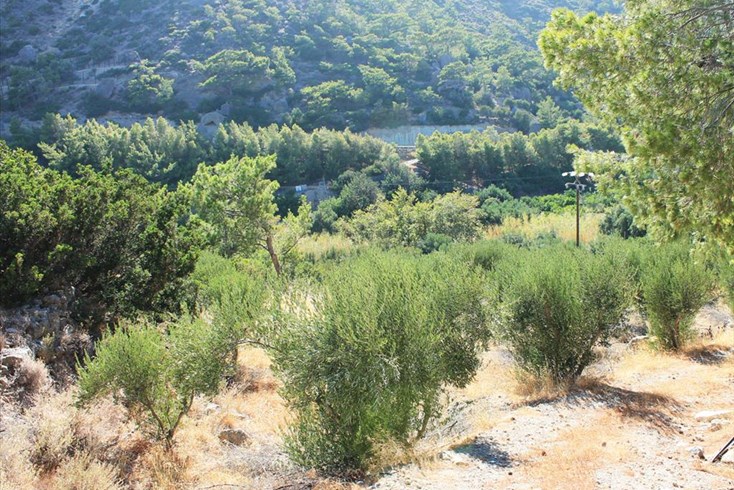 Realty photo 1