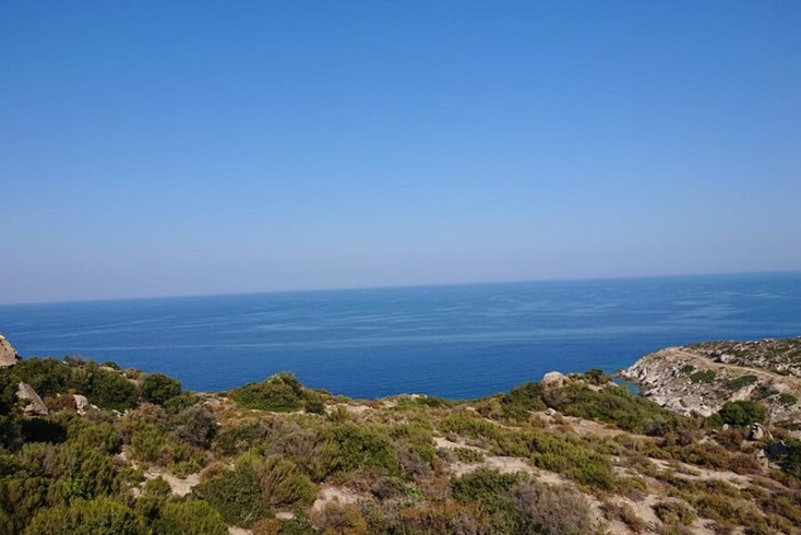 Realty photo 2