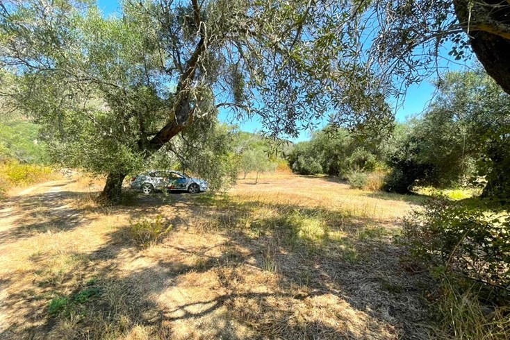 Realty photo 1