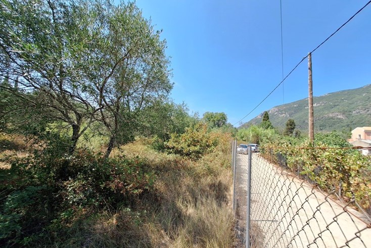 Realty photo 2