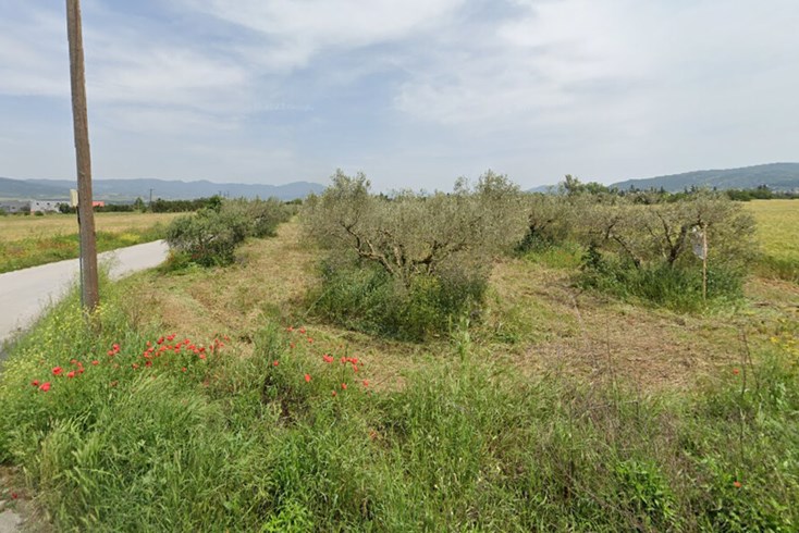 Realty photo 2