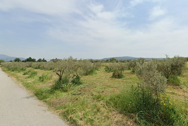 Realty photo 1