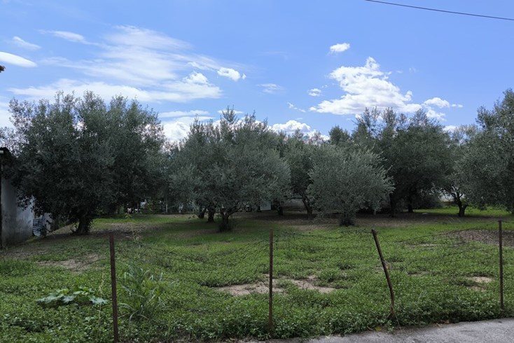 Realty photo 3