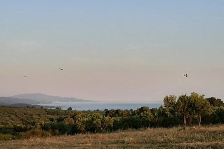 Realty photo 1