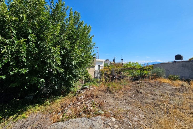 Realty photo 1