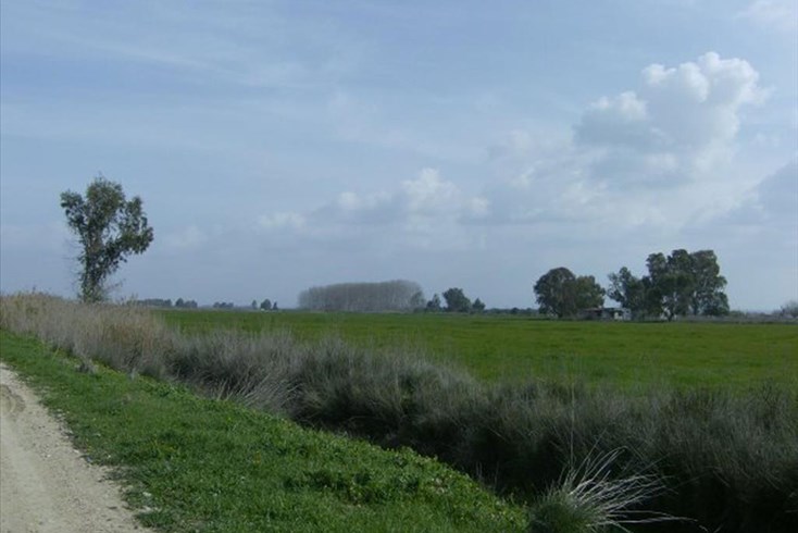 Realty photo 2