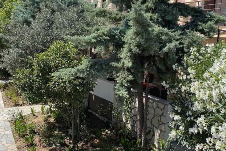 Realty photo 2