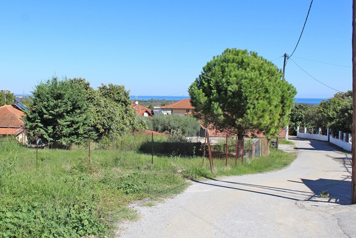 Realty photo 1