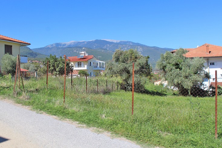 Realty photo 3