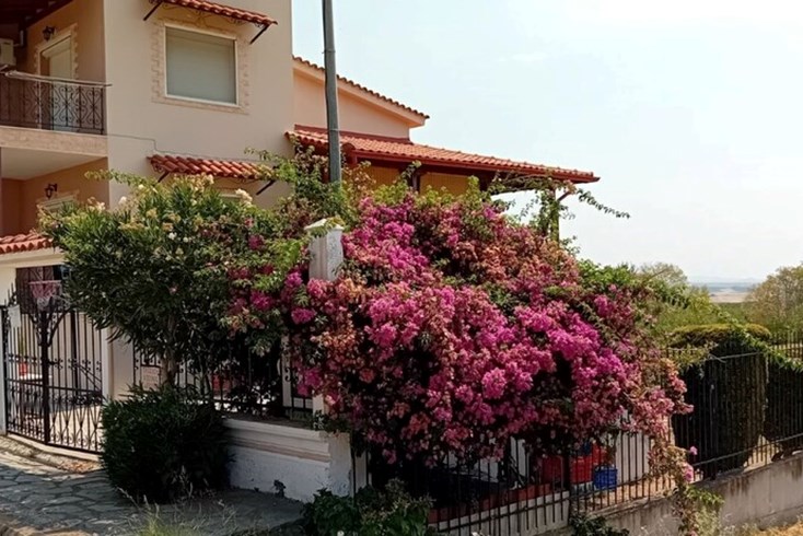 Realty photo 1