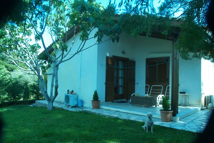Realty photo 1