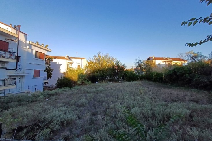 Realty photo 1