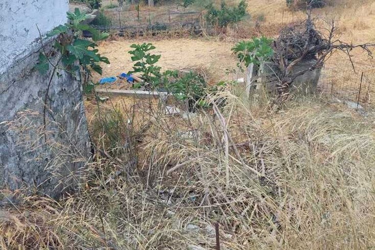Realty photo 1