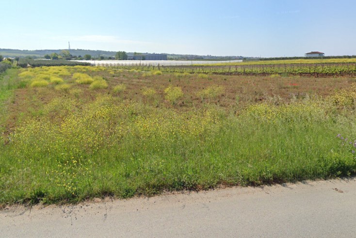 Realty photo 2