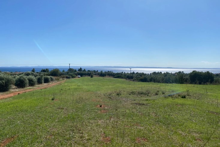 Realty photo 1