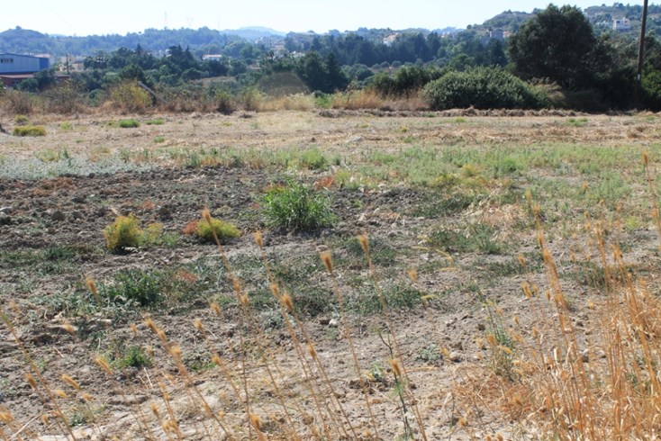 Realty photo 2