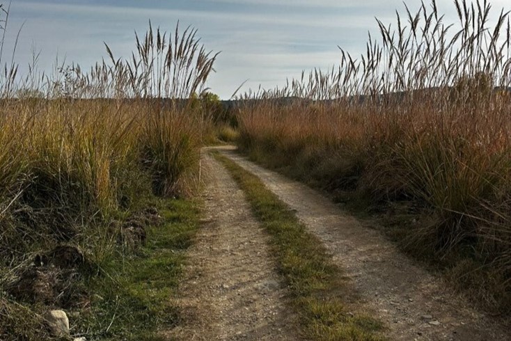Realty photo 3