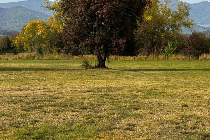 Realty photo 2