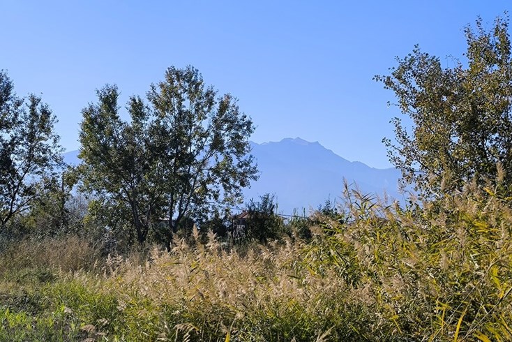Realty photo 3