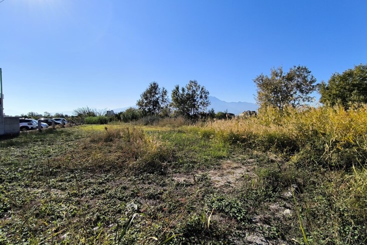 Realty photo 2