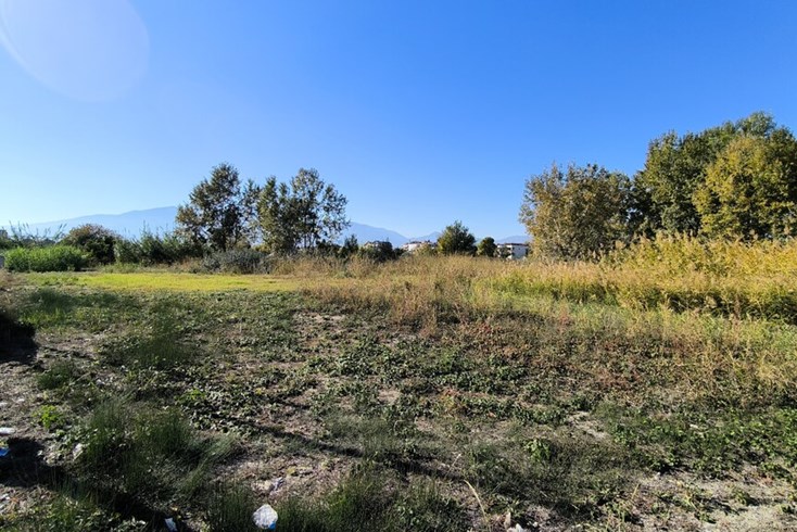 Realty photo 1