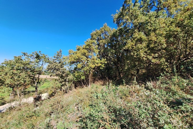 Realty photo 2