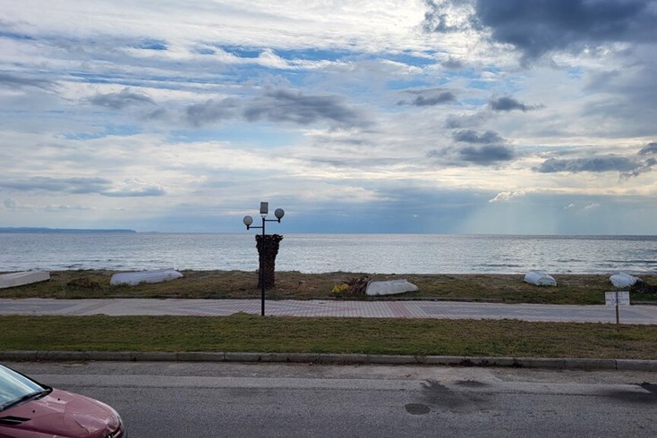 Realty photo 3