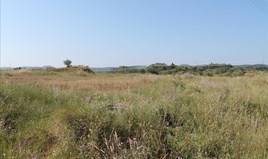 Land 30000 m² in Corfu