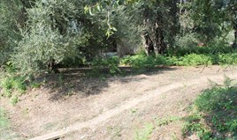 Land 650 m² auf Korfu