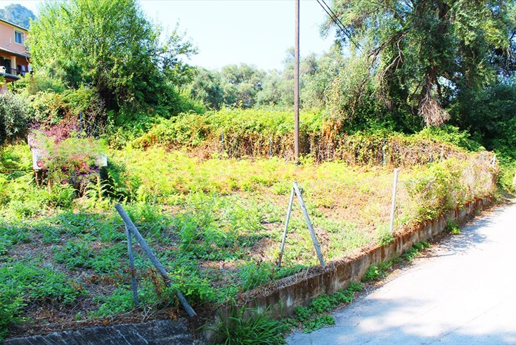 Realty photo 1