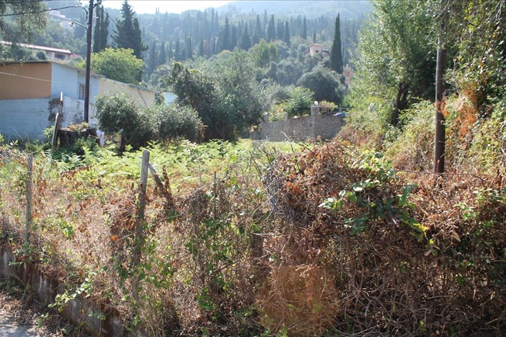 Realty photo 3
