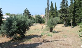 Land 2500 m² auf Korfu