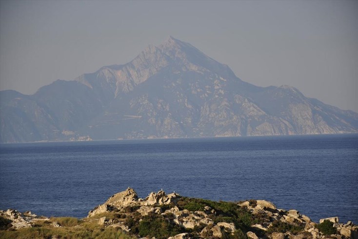 Realty photo 2