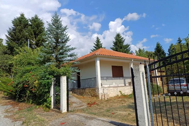 Realty photo 1