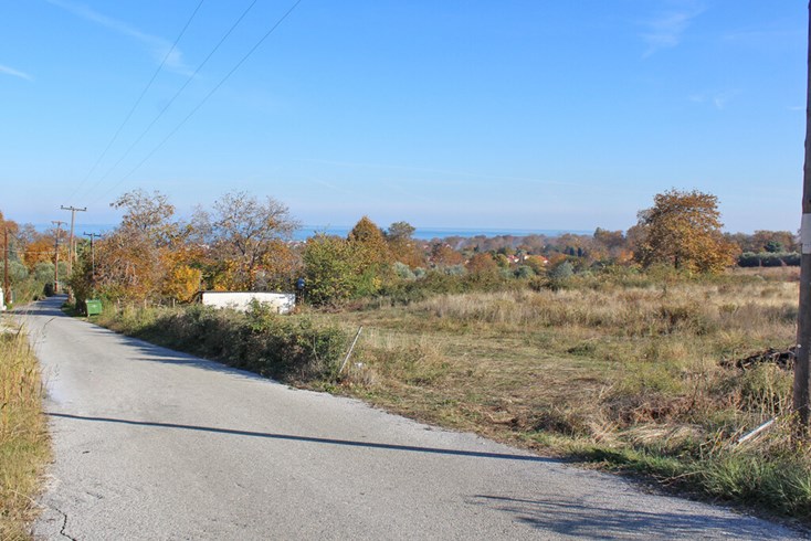 Realty photo 1