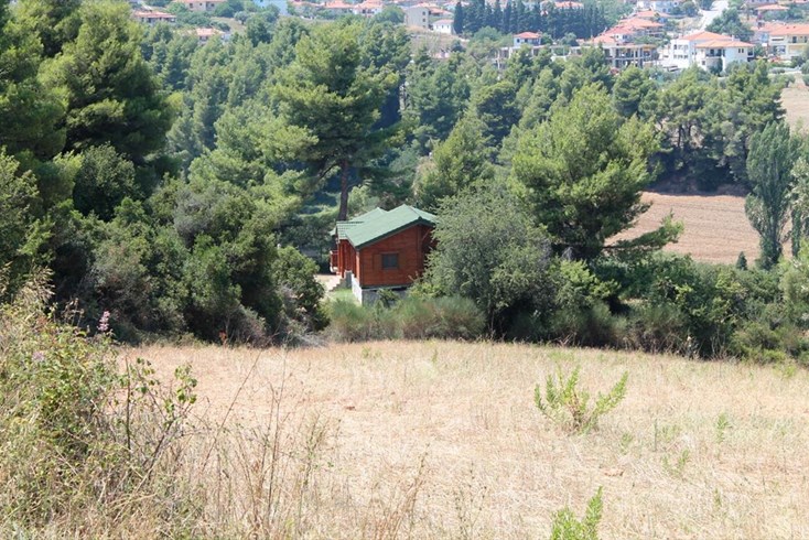 Realty photo 2