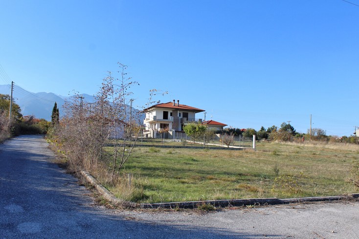 Realty photo 3