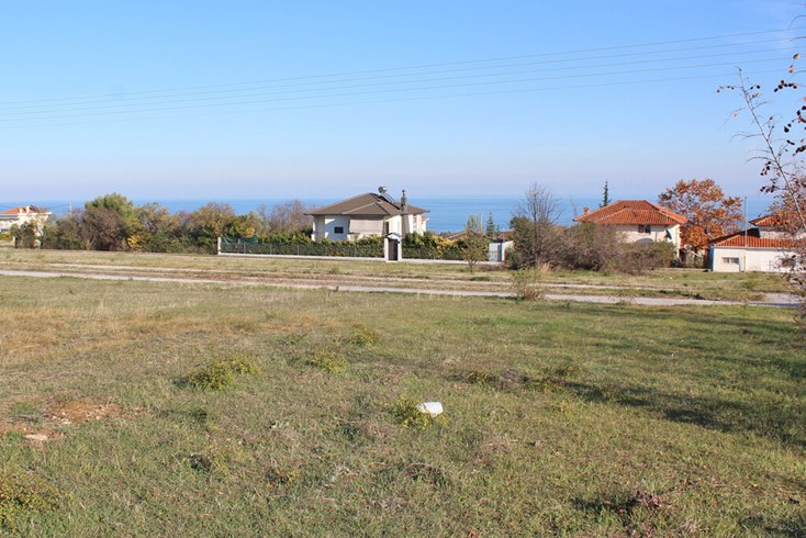 Realty photo 1