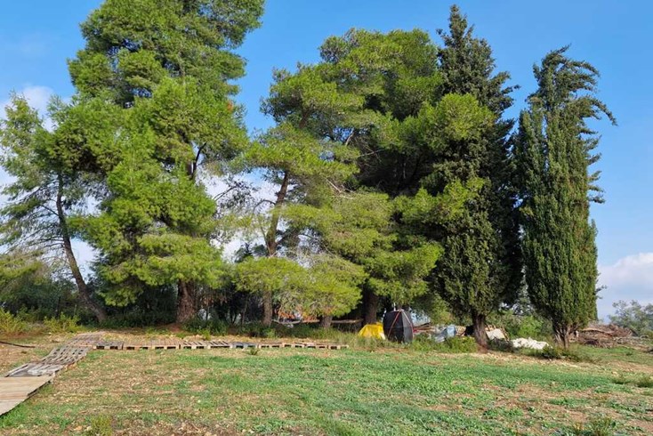 Realty photo 2