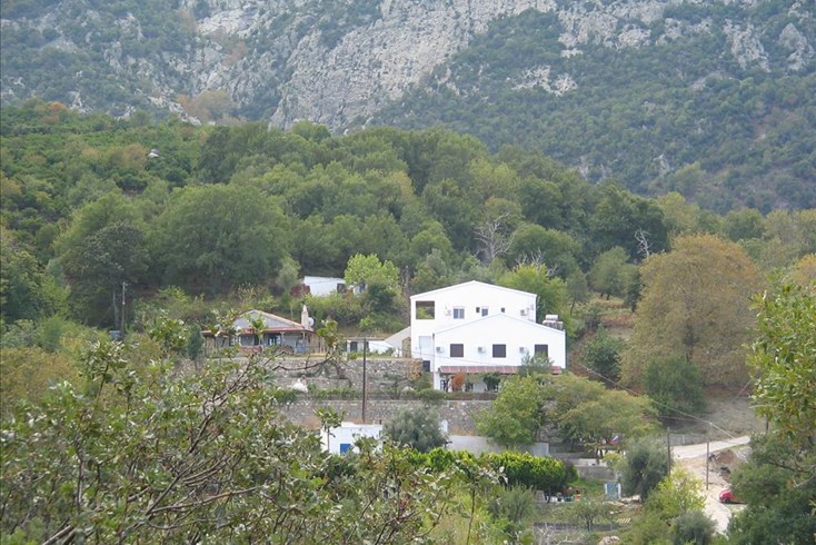 Realty photo 1