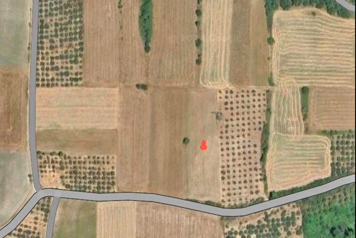 Realty photo 1